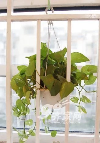 舒舒服服就是家 18图晒淘出来的52平可爱屋