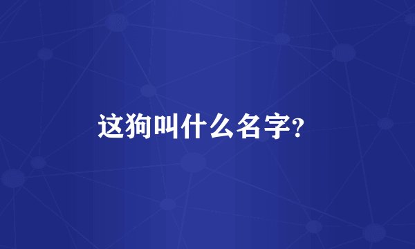 这狗叫什么名字？