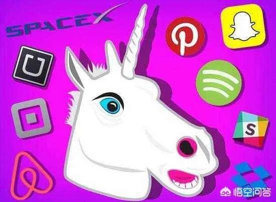 独角兽概念