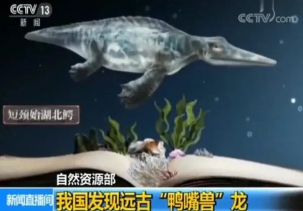 远古鸭嘴兽龙是什么样子的？