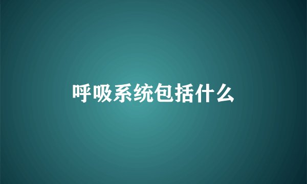 呼吸系统包括什么