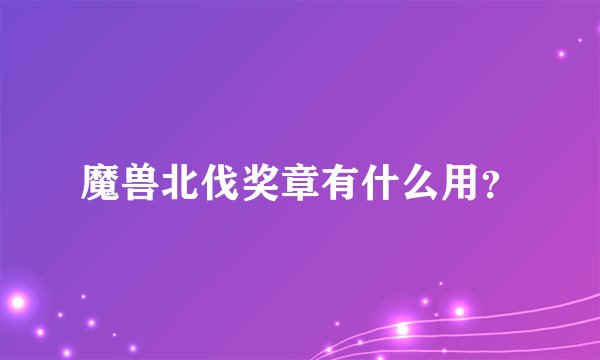 魔兽北伐奖章有什么用？