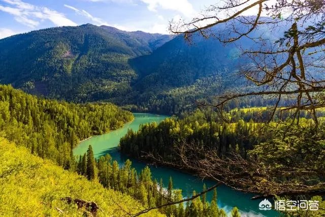 喀纳斯的风景如何?