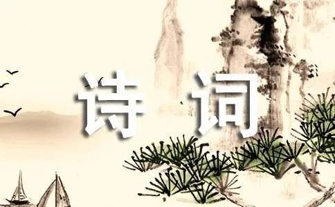 读诗词名句的随想