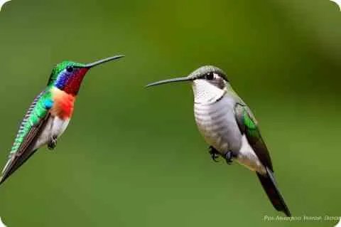 才高八斗指的是谁？细说才高八斗的历史典故