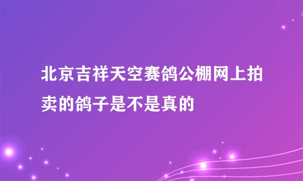 北京吉祥天空赛鸽公棚网上拍卖的鸽子是不是真的