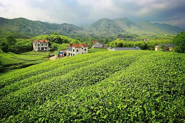 中国四大避暑胜地 中国四大避暑胜地是哪些地方