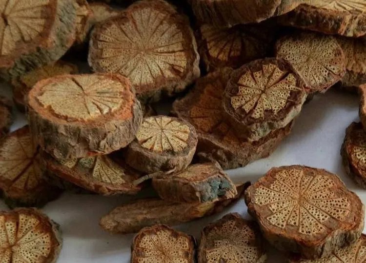 大血藤的功效与作用