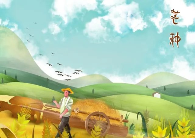 关于芒种有诗意的句子 描写芒种节气的优美句子