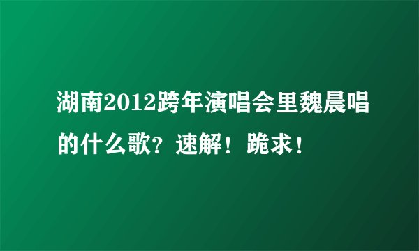 湖南2012跨年演唱会里魏晨唱的什么歌？速解！跪求！