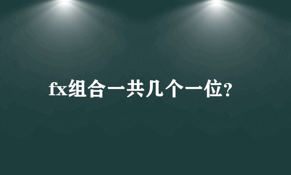 fx组合一共几个一位？