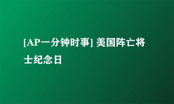 [AP一分钟时事] 美国阵亡将士纪念日