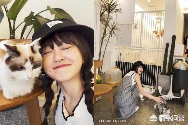 iPhone XS深陷“美颜门”,对此你怎么看?