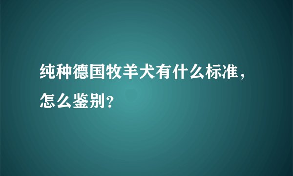 纯种德国牧羊犬有什么标准，怎么鉴别？