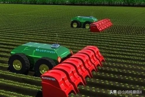 未来我国农机化发展趋势是怎样的？