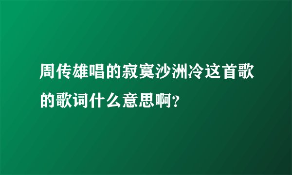周传雄唱的寂寞沙洲冷这首歌的歌词什么意思啊？