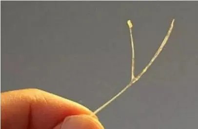 鱼刺卡喉咙怎么办?教大家一个简单的好办法