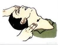 颈动脉窦在身体的什么位置？