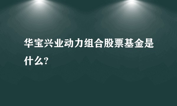 华宝兴业动力组合股票基金是什么?