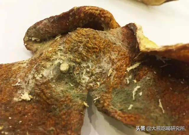 陈皮会产生黄曲霉素吗？如何辨别陈皮是否有黄曲霉素？
