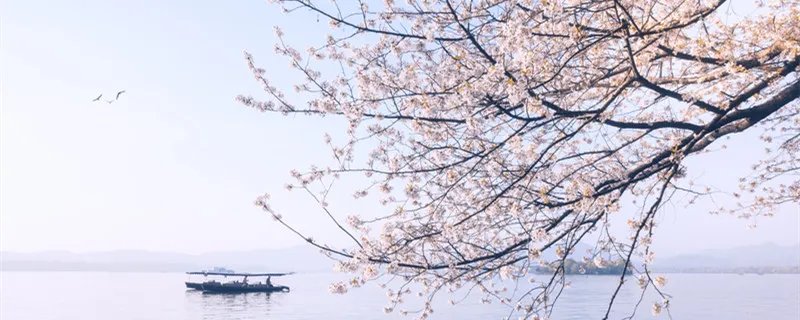 三月的英文缩写是什么 三月英文缩写怎么写