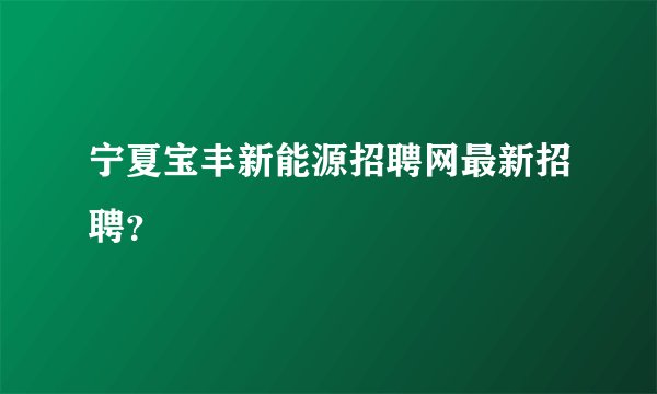 宁夏宝丰新能源招聘网最新招聘？