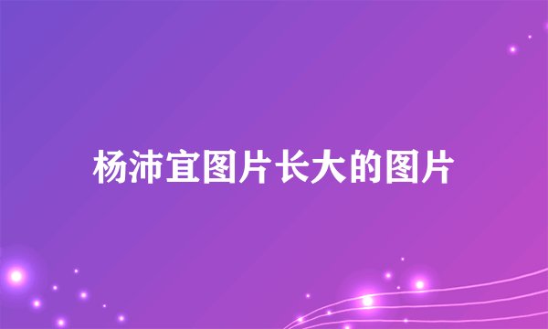 杨沛宜图片长大的图片