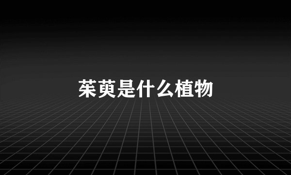 茱萸是什么植物