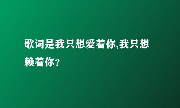 歌词是我只想爱着你,我只想赖着你？