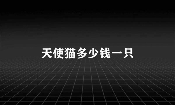 天使猫多少钱一只