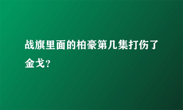 战旗里面的柏豪第几集打伤了金戈？