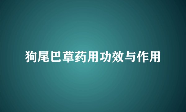 狗尾巴草药用功效与作用