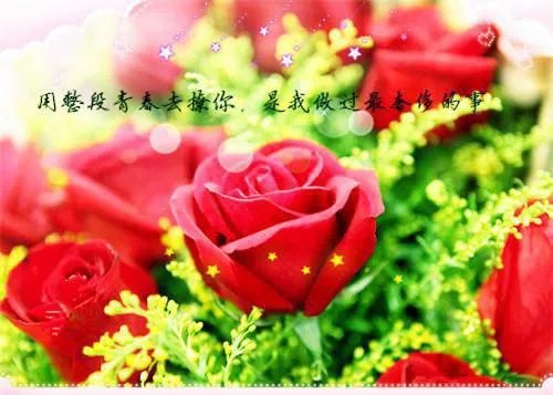 元龙战尊周元李清舞 元龙战尊周元小说免费阅读