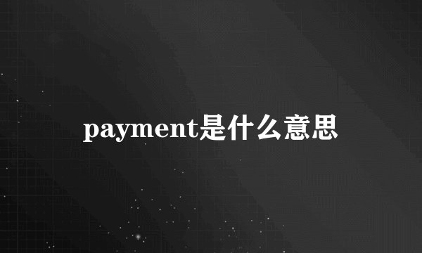 payment是什么意思