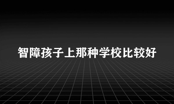 智障孩子上那种学校比较好