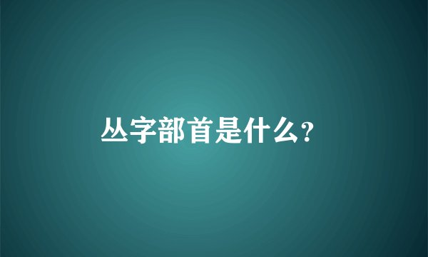 丛字部首是什么？