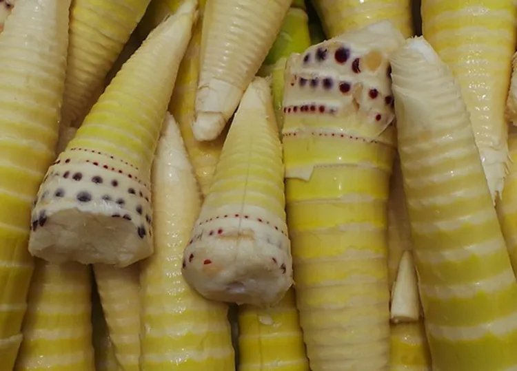 竹笋的功效与作用