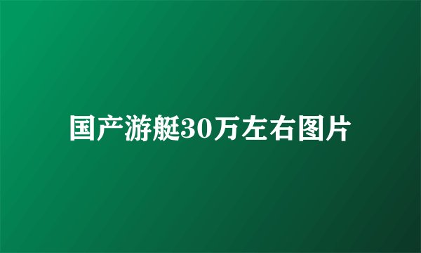 国产游艇30万左右图片