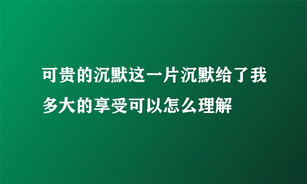 可贵的沉默这一片沉默给了我多大的享受可以怎么理解