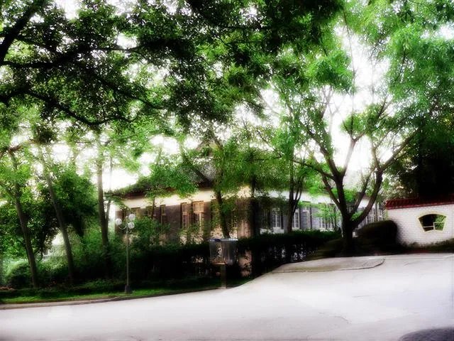 重庆邮电大学怎么样?