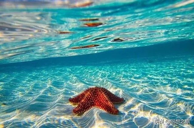 三亚湾和亚龙湾，哪个更好一些？