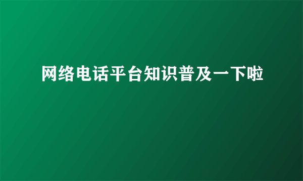 网络电话平台知识普及一下啦