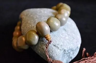 菩提子有哪些种类？菩提子种类大全图片介绍！