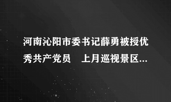 河南沁阳市委书记薛勇被授优秀共产党员　上月巡视景区时坠崖身亡