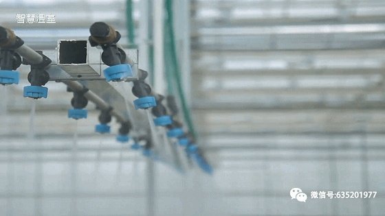 温室大棚的工作原理是什么？