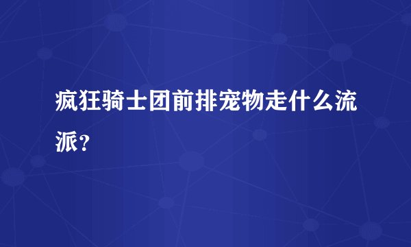 疯狂骑士团前排宠物走什么流派？
