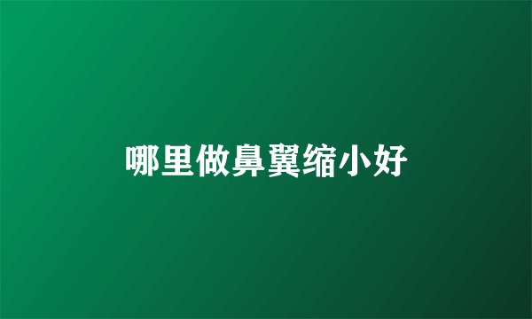 哪里做鼻翼缩小好