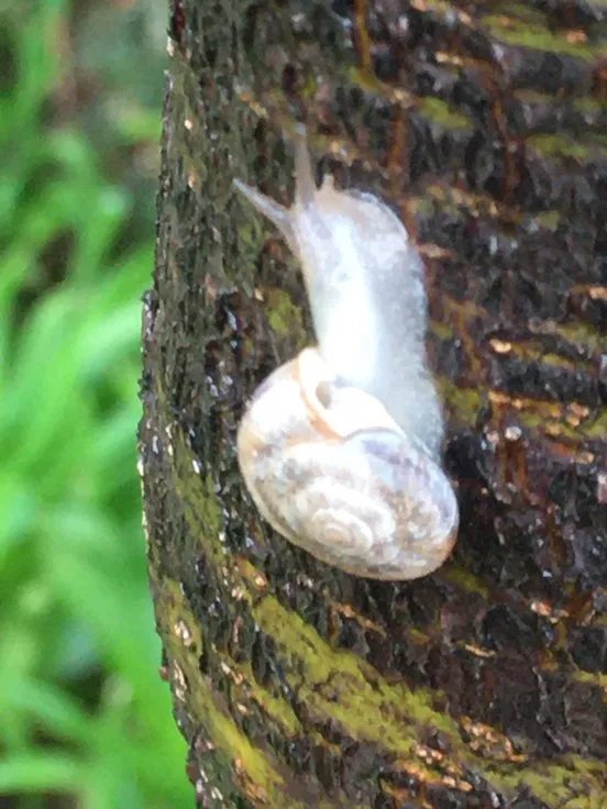 为什么我男朋友喜欢说c死我这些话 我们那个时候我踢他 他就说c死你信不信？