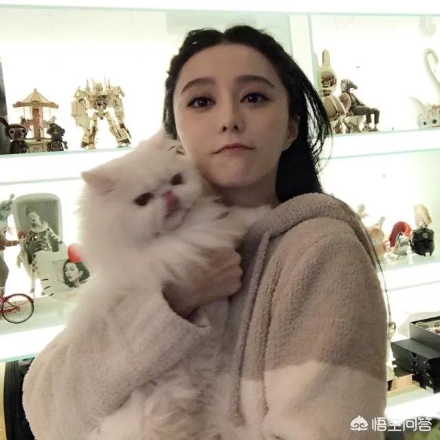 与赵薇一起合作过《还珠格格》的演员们谁发展最好？