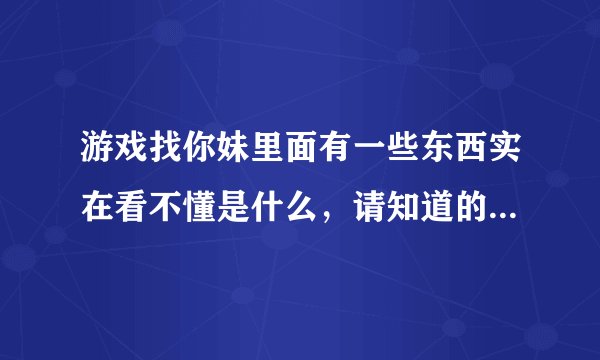 游戏找你妹里面有一些东西实在看不懂是什么，请知道的大神帮忙解释一下。。